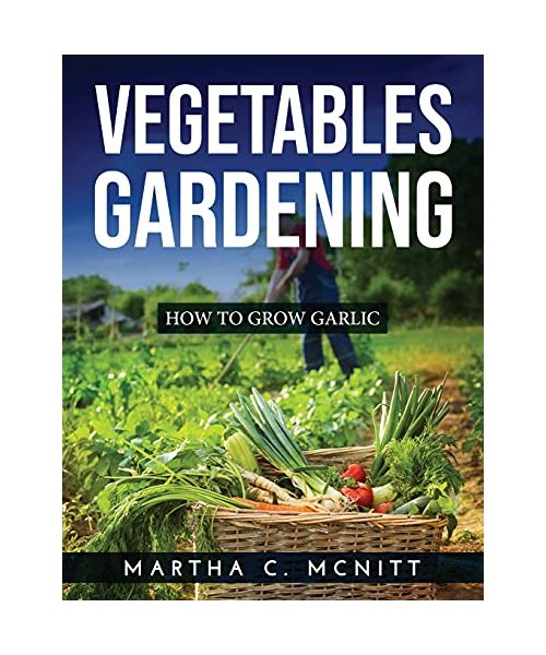 Vegetables Gardening: How to Grow Garlic