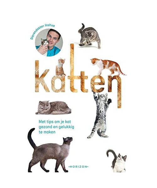 Katten