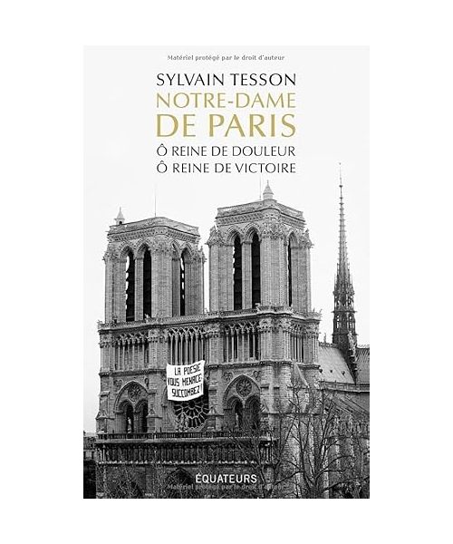 Notre-Dame de Paris - O reine de douleur, ô reine de victoire