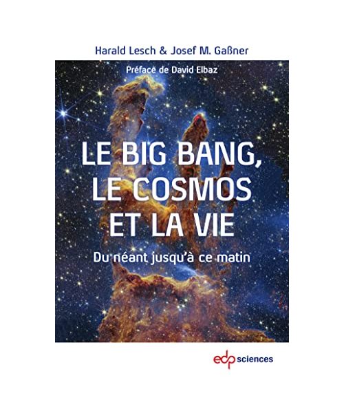 Le Big Bang, le cosmos et la vie: Du néant jusqu'à ce matin