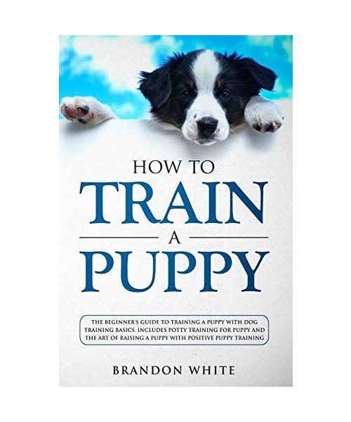 How to Train a Puppy: The Beginner's Guide to Training a Puppy with Dog Training Basics. Includes Potty Training for Puppy and The Art of Ra