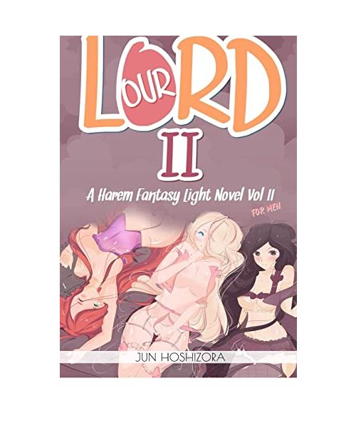 Harem Fantasy for Men Explicit Light Novel. Our Lord (Harem Boy, Band 2)