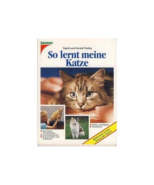 So lernt meine Katze