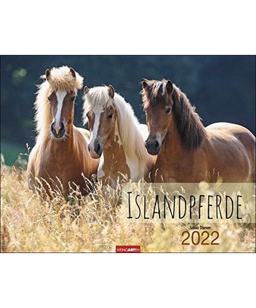 Islandpferde - Kalender 2022
