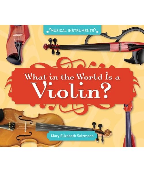 What in the World Is a Violin?