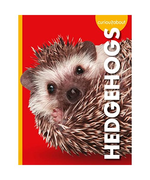 Curious about Hedgehogs