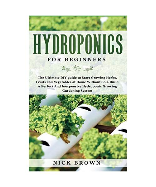Hydroponics for Beginners