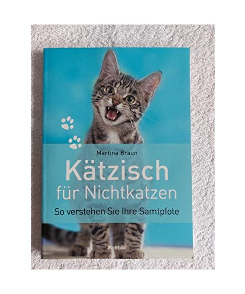 Kätzisch für Nichtkatzen: So verstehen Sie Ihre Samtpfote