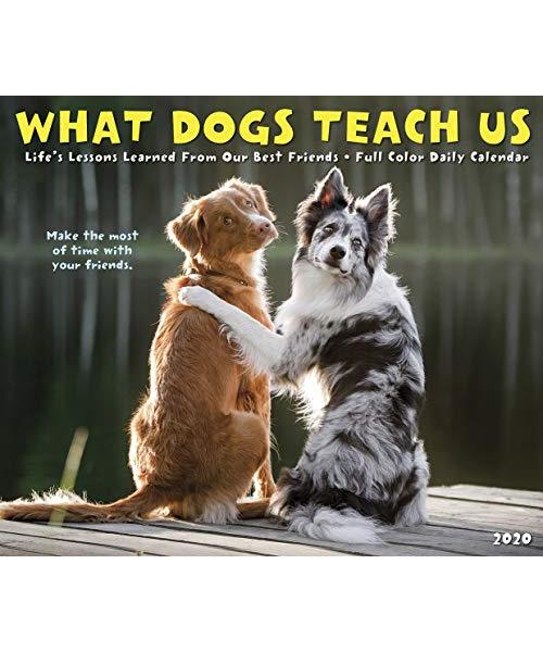 What Dogs Teach Us 2020 Box Calendar