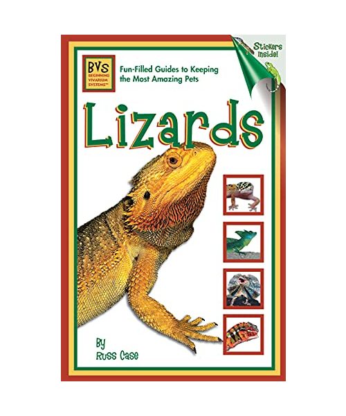 Lizards: