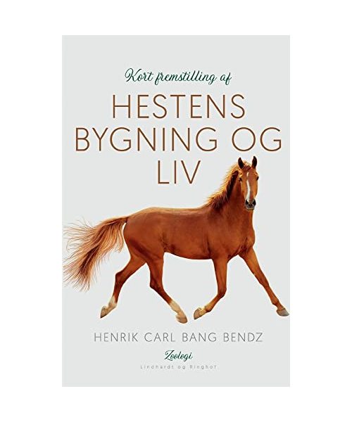 Kort fremstilling af hestens bygning og liv