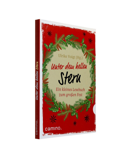 Unter dem hellen Stern