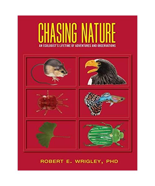 Chasing Nature