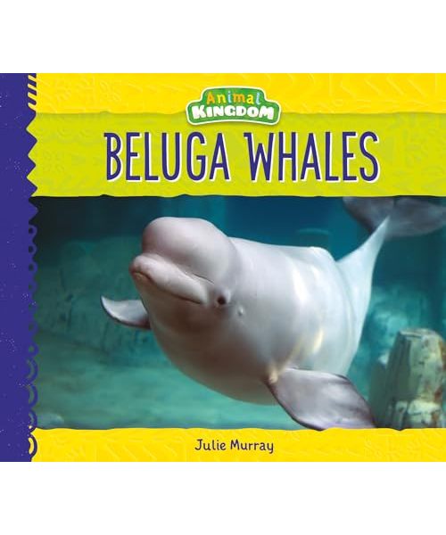 Beluga Whales