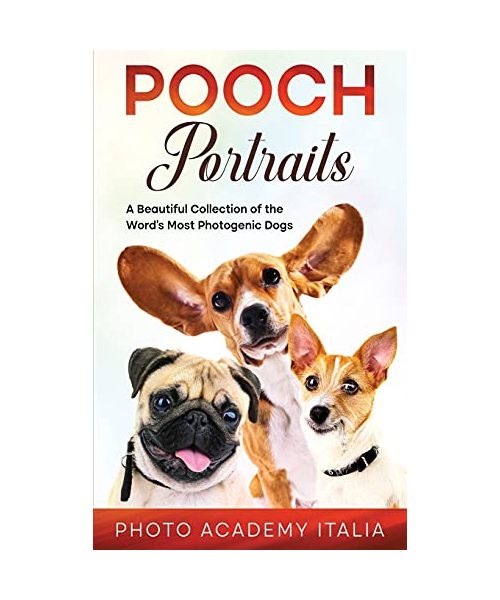 Playful Portraits: A Beautiful Collection of the Word's Most Photogenic Dogs