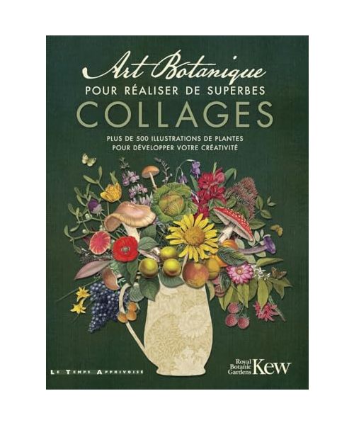 Art Botanique pour réaliser de superbes collages - plus de 500 illustrations des plantes pour développer votre créativité: Plus de 500 illustrations de plantes pour développer votre créativité