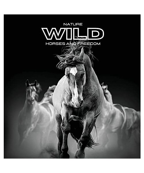 Nature WILD Horses and Freedom: Color photo album. Gift idea for animal and nature lovers. Horse-themed photo book.