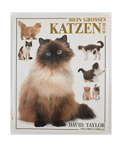 Mein großes Katzenbuch