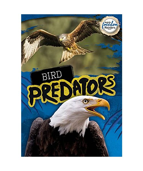 Bird Predators