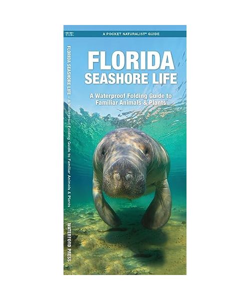Florida Seashore Life: A Waterproof Folding Guide to Familiar Animals & Plants