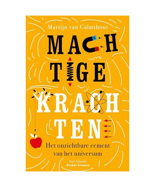 Machtige krachten: het onzichtbare cement van het universum (Pocket Science)