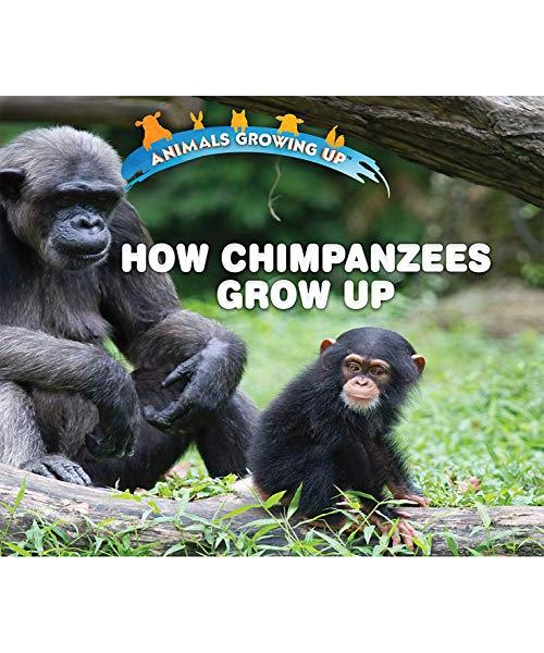 How Chimpanzees Grow Up (Animals Growing Up)