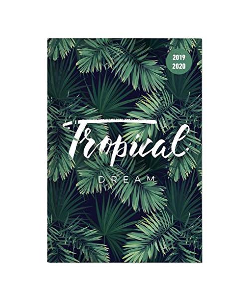 Collegetimer Jungle 2019/2020 - Dschungel - Schülerkalender A6 (10 x 15)