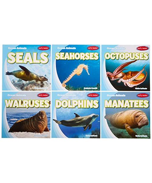 Ocean Animals