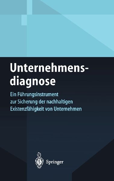Unternehmensdiagnose