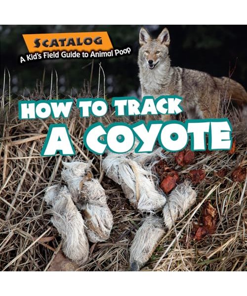 How to Track a Coyote