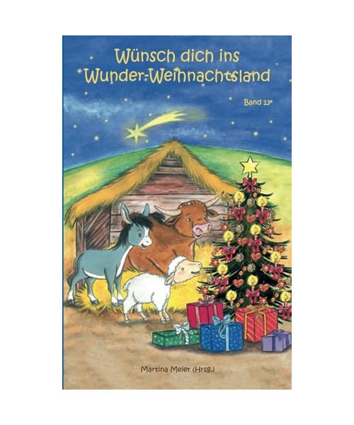 Wünsch dich ins Wunder-Weihnachtsland Band 13