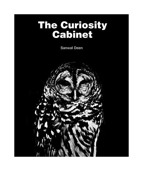 The Curiosity Cabinet