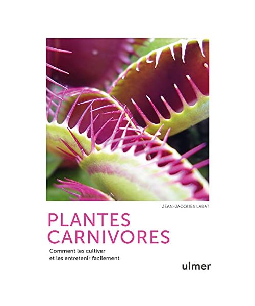 Plantes carnivores - Comment les cultiver et les entretenir facilement