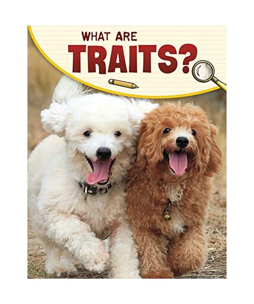 What Are Traits?