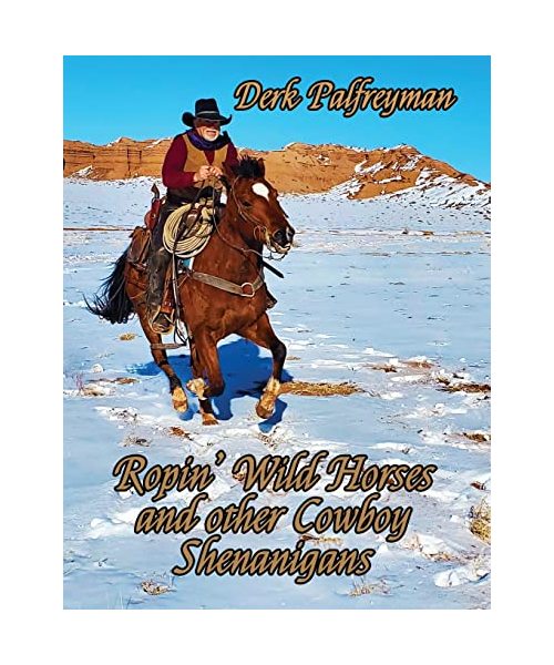Ropin' Wild Horses and Other Cowboy Shenanigans