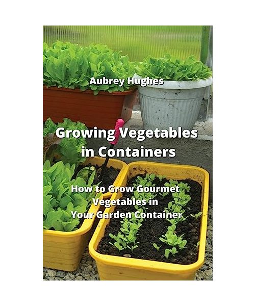 Growing Vegetables in Containers