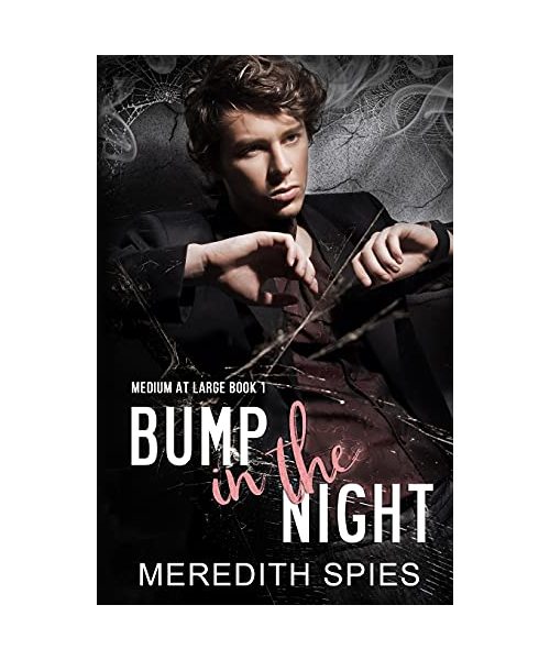 Bump in the Night (Medium at Large Book 1)