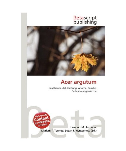 Acer argutum