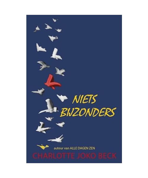 Niets bijzonders