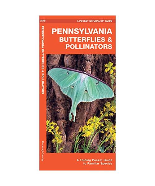 Pennsylvania Butterflies & Pollinators: A Folding Pocket Guide to Familiar Species