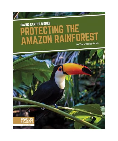 Protecting the Amazon Rainforest