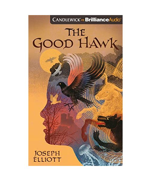 The Good Hawk (Shadow Skye, Band 1)