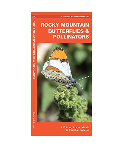 Rocky Mountain Butterflies & Pollinators: A Folding Pocket Guide to Familiar Species