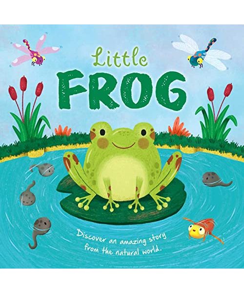 Nature Stories: Little Frog-Discover an Amazing Story from the Natural World: Padded Board Book