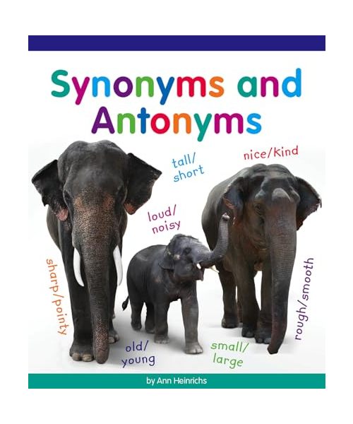 Synonyms and Antonyms