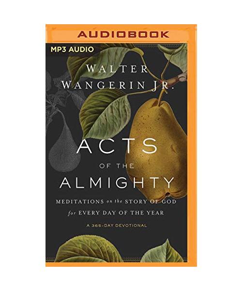 Acts of the Almighty: Meditations on the Story of God for Every Day of the Year