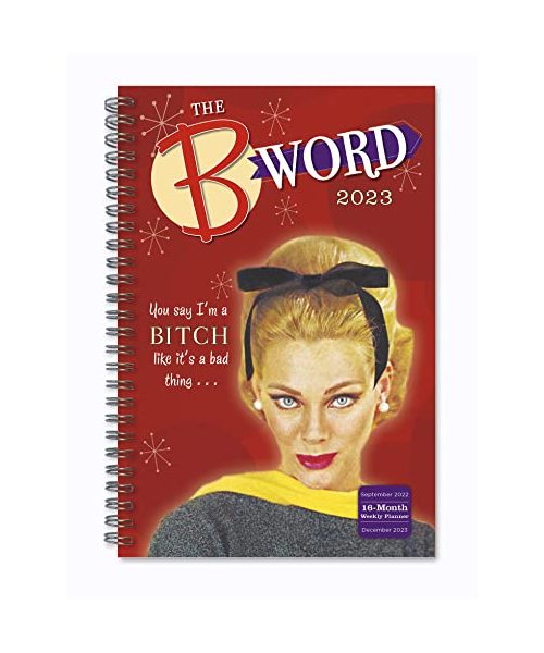 B WORD YOU SAY IM A BITCH LIKE ITS A BAD