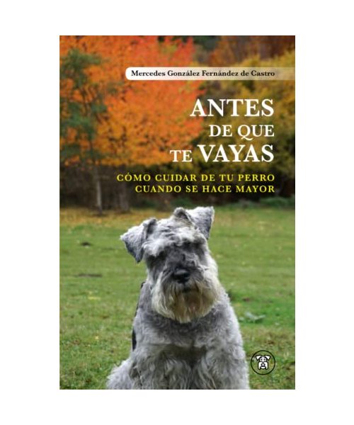 Antes de que te vayas: Cómo cuidar de tu perro cuando se hace mayor