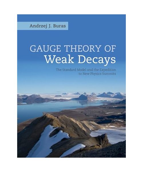 Gauge Theory of Weak Decays