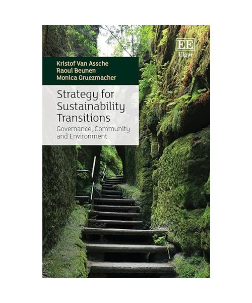 Strategy for Sustainability Transitions: Governance, Community and Environment